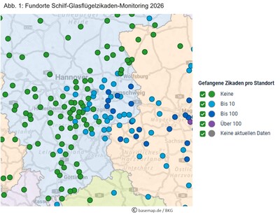 Abb. 1: Fundorte Schilf-Glasflügelzikaden-Monitoring 2026 - © Informationssystem für Integrierte Pflanzenproduktion e.V. (ISIP) bearbeitet von Dr. Holger Kreyer Abb. 1: Fundorte Schilf-Glasflügelzikaden-Monitoring 2026