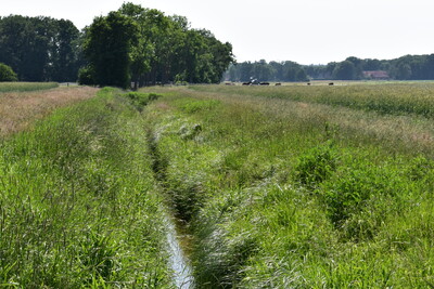 Gewässerrandstreifen Gewässer 2. Ordnung - © Nora Kretzschmar Gewässerrandstreifen Gewässer 2. Ordnung